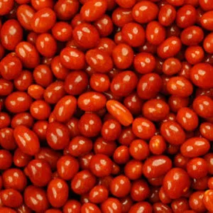 Boston Baked Beans - 5lb Bag