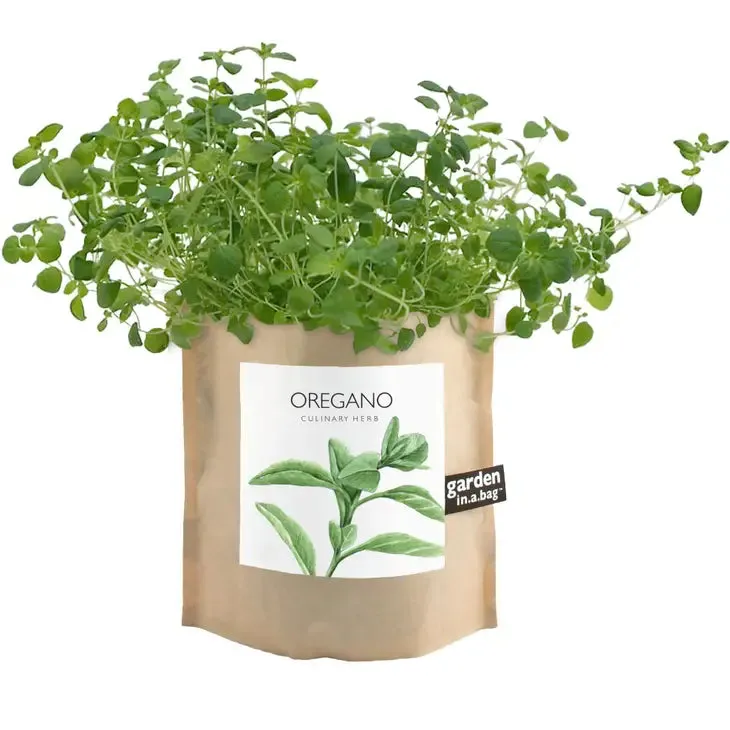 Garden in a Bag | Oregano