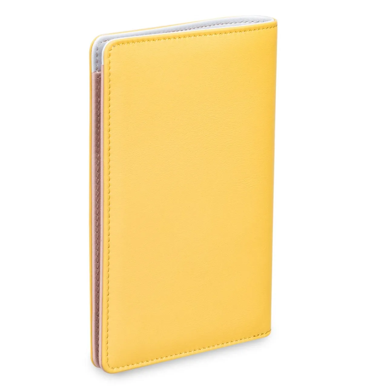 Hues Passport Holder