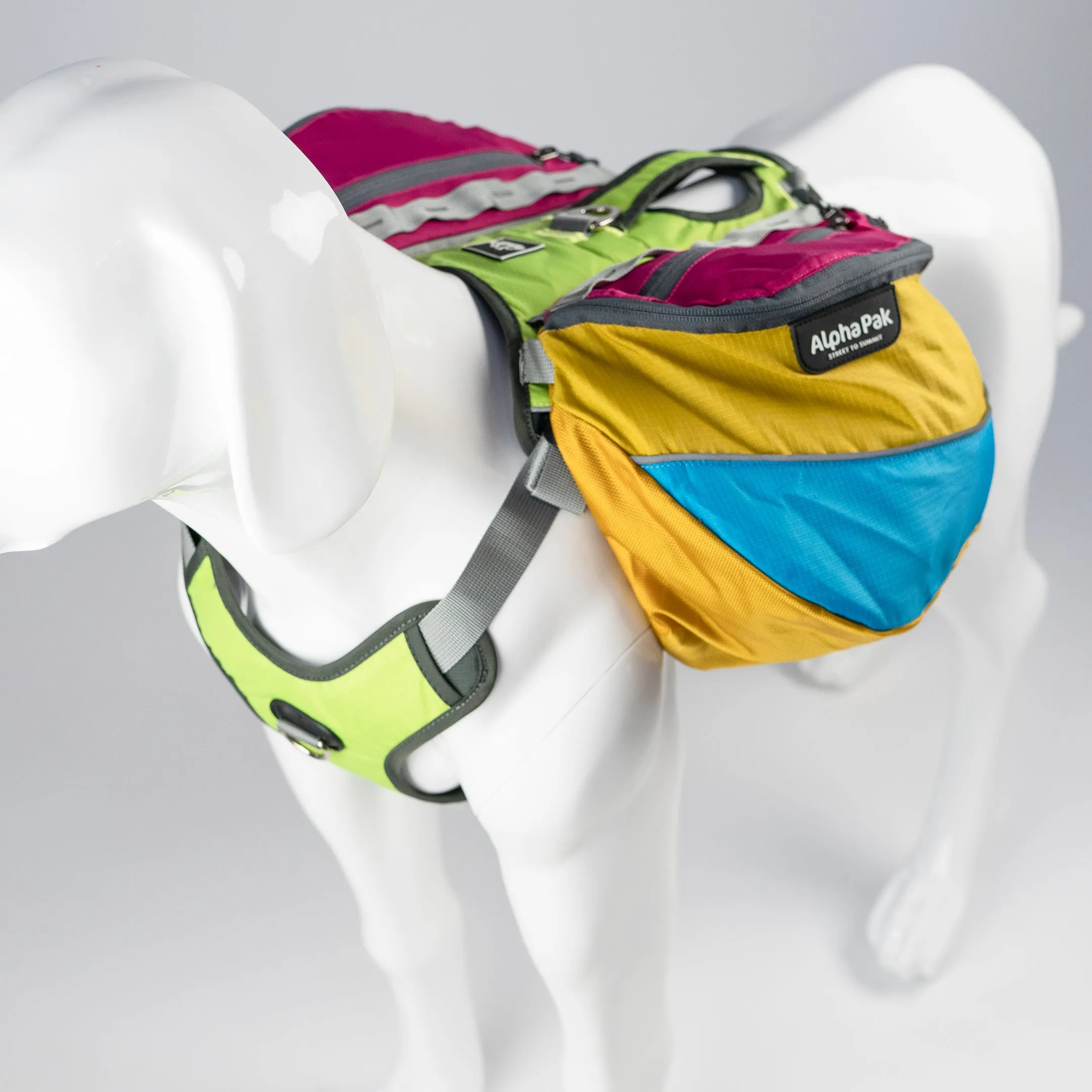 Wanderer Dog Pack (1-piece) - Wholesale